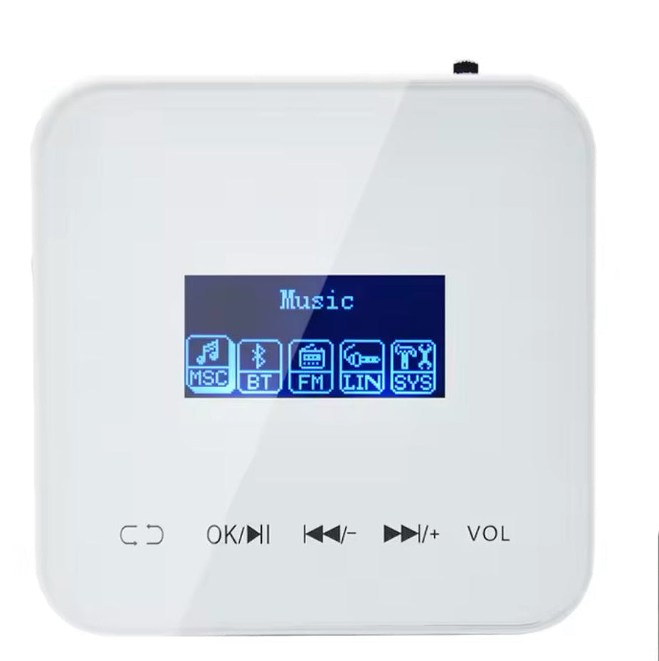 Wall mounted mini amplifier